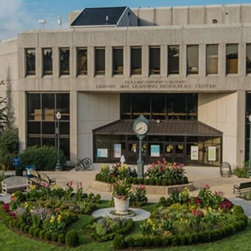 American University For Scholorhip