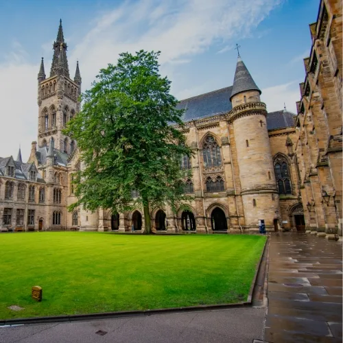 Harvard University for Scholorship