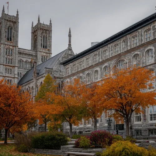 Yale University for Scholorship